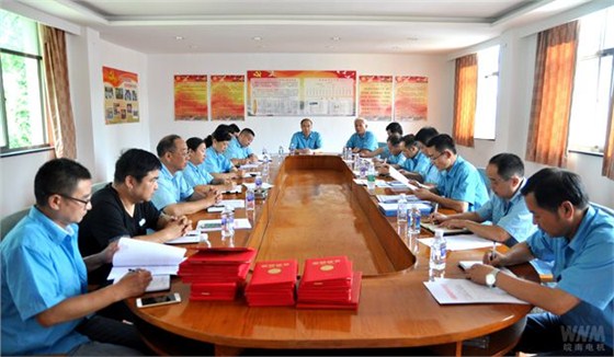 皖南電機：黨委召開紀念&ldquo;七一&rdquo;暨&ldquo;兩先一優(yōu)&rdquo;表彰會