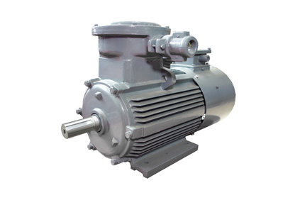 YBBP系列隔爆型變頻調(diào)速三相異步電動機 YBBP系列隔爆型變頻調(diào)速三相異步電動機